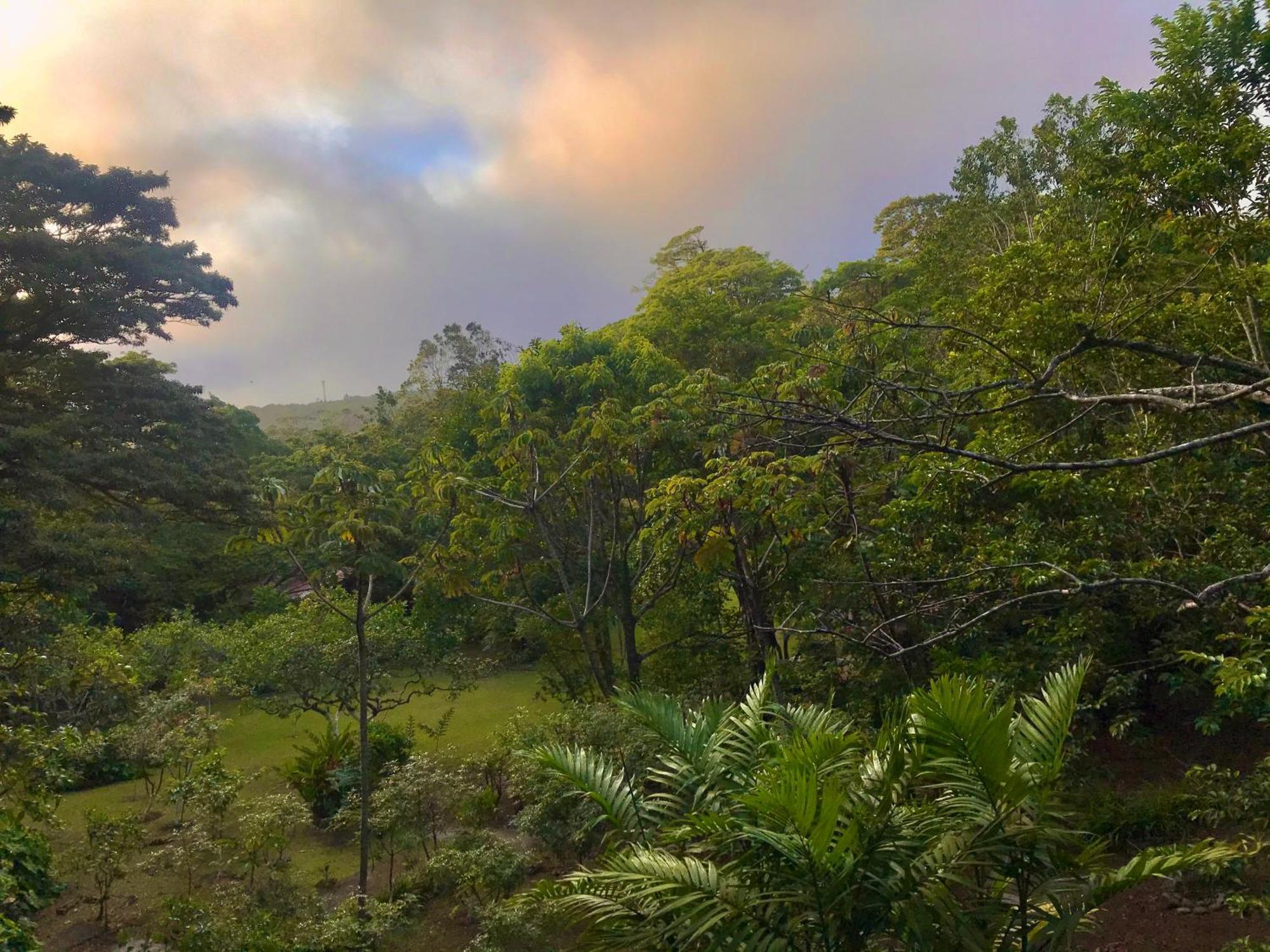 Yerbabuena Lodge Monteverde Bagian luar foto